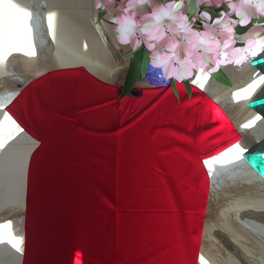 Basic Red Blouse